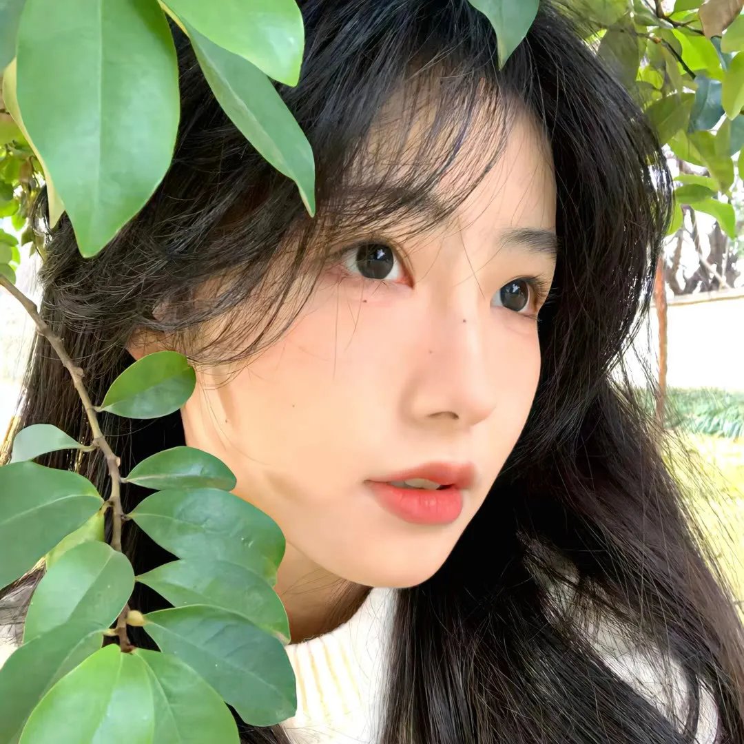 人类之子